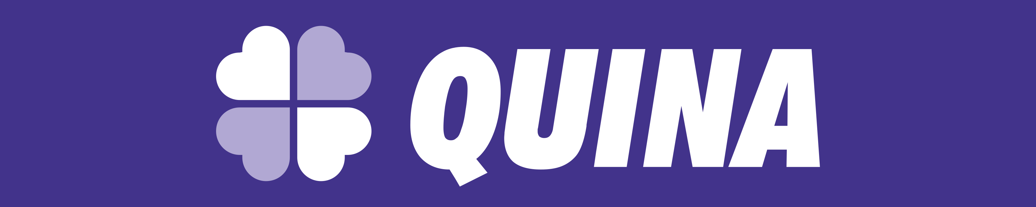 Quina logo